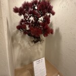 鮨 赫 sushi aka Tokyo - 