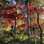 蔵元ごはん&カフェ 酒蔵 櫂 - 途中立ち寄ったお寺の紅葉