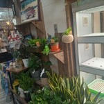 Rainbow cafe - 