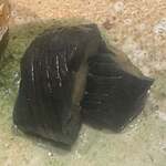 寿し たけうち - 