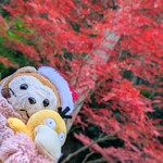 法多山名物だんご企業組合 - ニョキ♡(＾(ェ)＾)(⊙ө⊙)ﾊﾟｼｬ♪︎