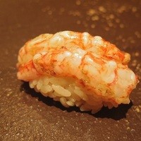 匠 すし昂 - 島海老