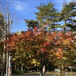 コンフォートイン - 軽井沢レイクガーデン