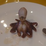 ソレアド - イイダコ アップ