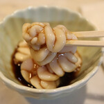 つりキチ黒鯛 - たち(たづ)ポン