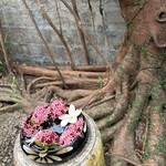 富久屋 - ウェルカムフラワー  クリスマスリース