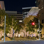 土佐みょうじん - 道すがらに見たイルミネーション　キレイだったよ〜