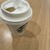 スターバックスコーヒー - ドリンク写真: