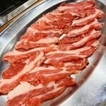 北とうがらし - 