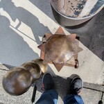 B-yond - 河童君　頭髪が・・・え？最初から？