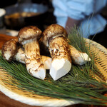 江戸前晋作 - 松茸