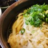 手打ちうどん ちよ志 - 料理写真: