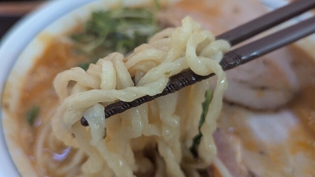 天山（手打ち中華） - 磐城石川（ラーメン）の写真