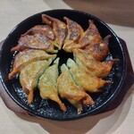 大衆居酒屋 博多どんたく 新小岩店 - 鉄鍋餃子2人前(429円)※開店記念半額