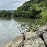 キッチンまつやま - 