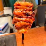 焼鳥 美鶏 - かわ