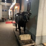 タン・シャリ・焼肉 たんたたん - 