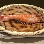 鮨割烹 こばやし - 