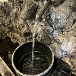 まるはん へそ曲がり - 