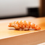 鮨 はしもと - 車海老