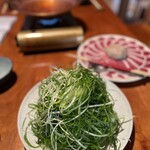 柳町 - 鮮やか緑の九条葱