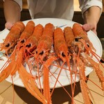 日本料理FUJI - 【写真②】活アカザエビ
