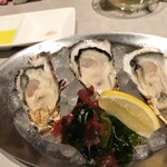 オイスターハウス KITTE大阪店 - 