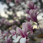 Natural café 京都駅前店 - 