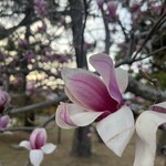 Natural café 京都駅前店 - 