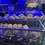 ちゅらさん亭 - 