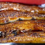 うなぎ村 - 2025.9 霞ヶ浦産150gサイズ天然うなぎ うな重（蒲焼き）