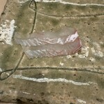 鮨みやもと - ヒラメ