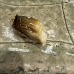 鮨みやもと - 穴子