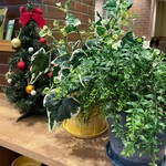 タリーズコーヒー - 店内②