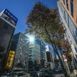 泰明庵 - 陽光（ひのひかり）煌（きら）めく"晴海通（はるみどほ）り"