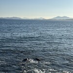 波止場茶店 - 眺め良いです。