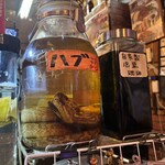 亀千人 - 