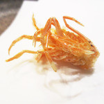 天雅 - 天ぷら　才巻き海老（御頭）