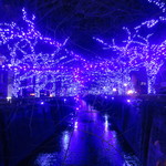 天雅 - 目黒川の「青の洞窟」