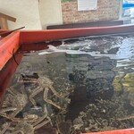 お食事処 濱乃家 - 