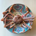 伊在 - 松葉蟹成体
