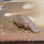 鮨ト酒肴 富かわ - 