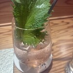 鮨ト酒肴 富かわ - 