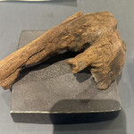 プレゼンテ スギ - 