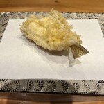 天ぷら よこい - 鱚