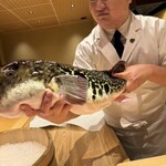 ふぐまどんな - 