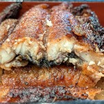 しんぱち食堂 - しんぱち食堂 茅場町店 鰻重 特上 断面