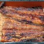 しんぱち食堂 - しんぱち食堂 茅場町店 鰻重 特上