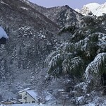 育風堂精肉店 - 