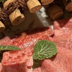 六本木 大皿焼肉 老中 - 